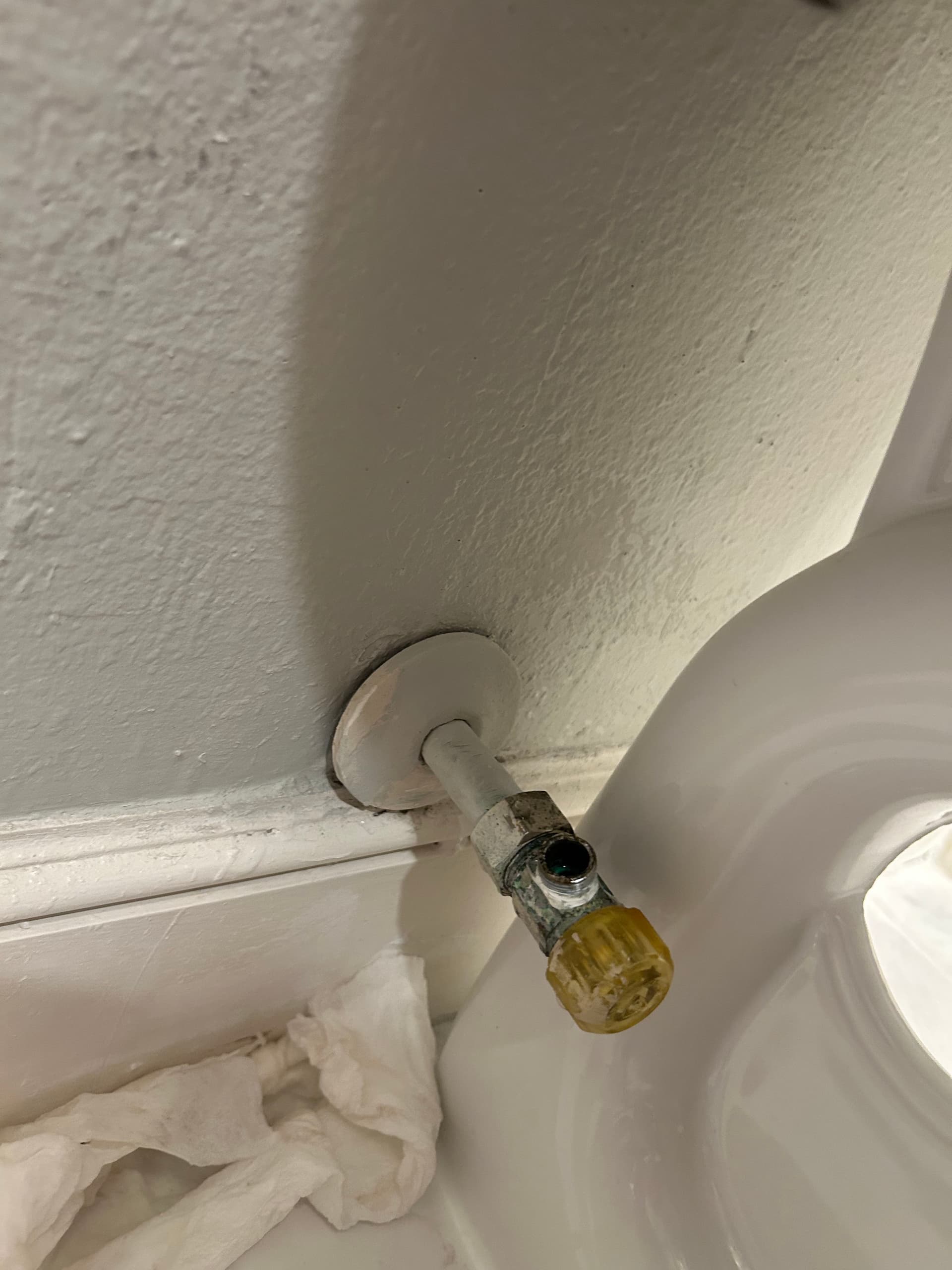 Gallery photos for Toilet Shut-Off Valve Replacement in Lakeridge: Image #1