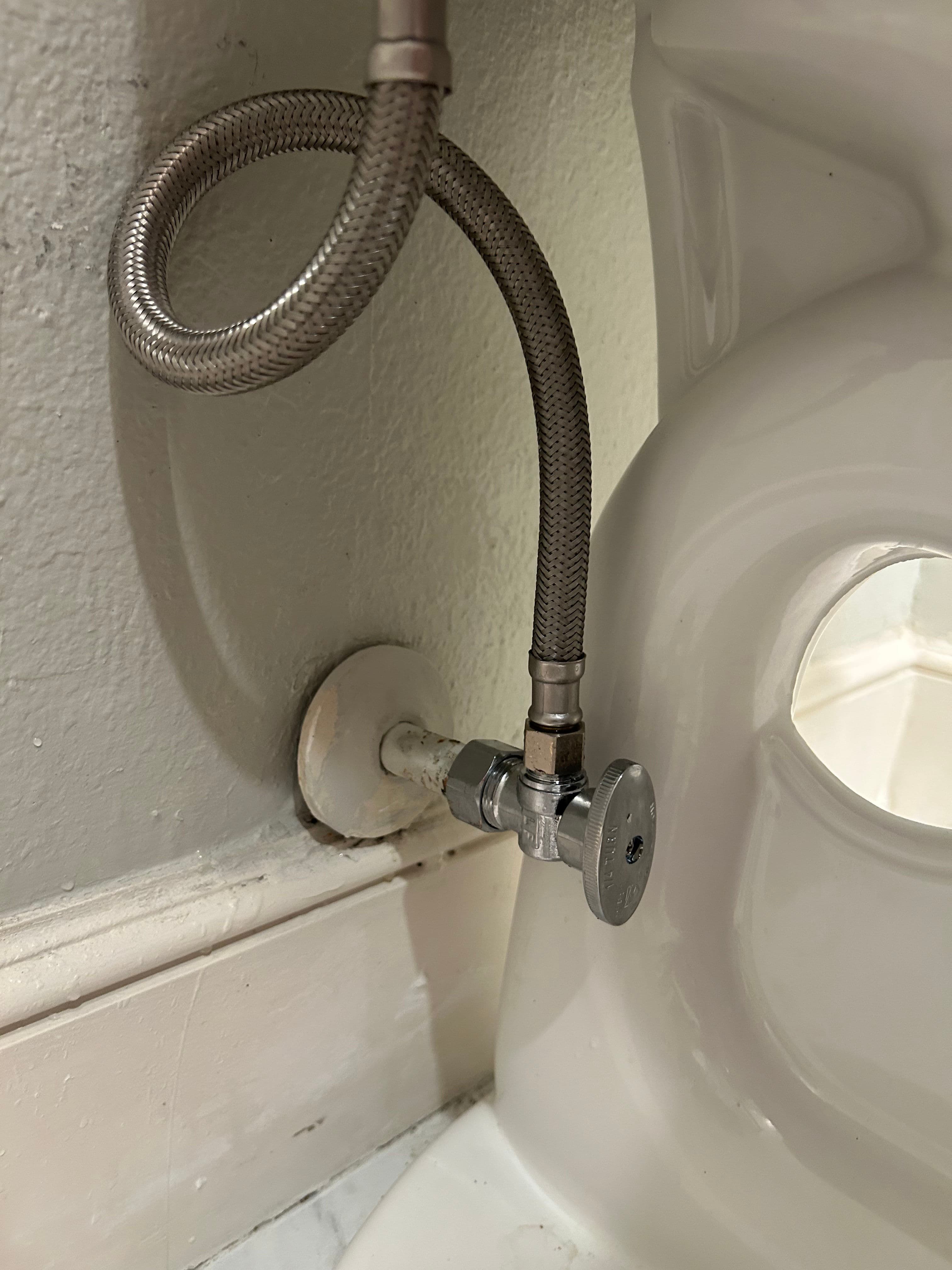 Project Toilet Shut-Off Valve Replacement in Lakeridge image