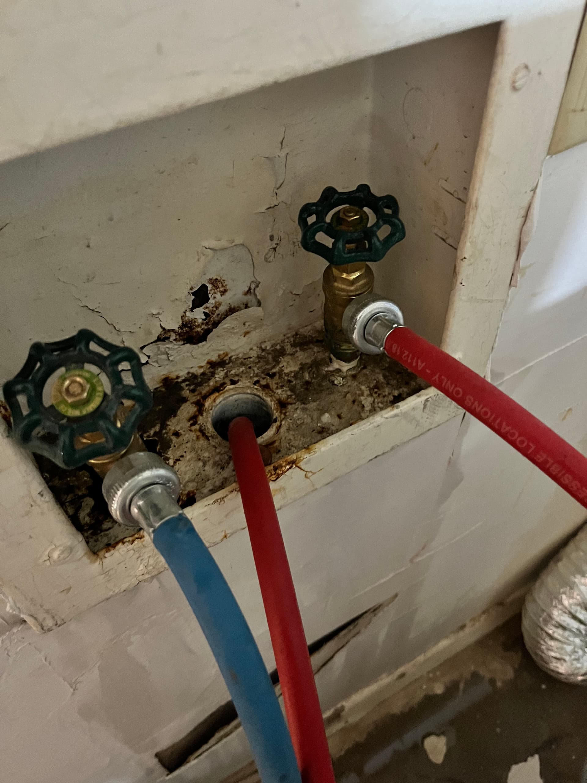 Gallery photos for Washing Machine Drain Clog Cleared and Flowing Again: Image #3