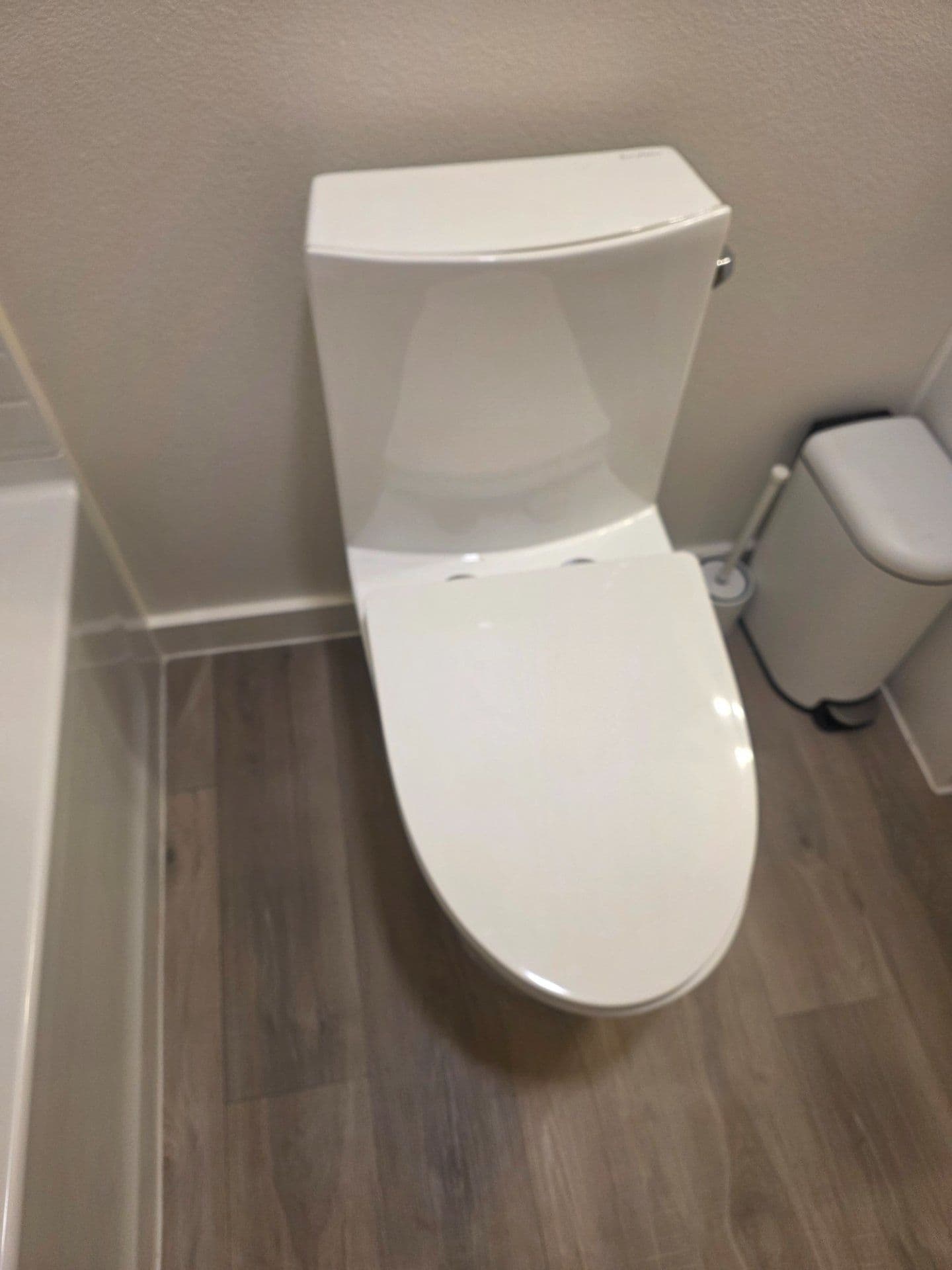 Project Fresh Toilet Replacement Done Right in Viridian image