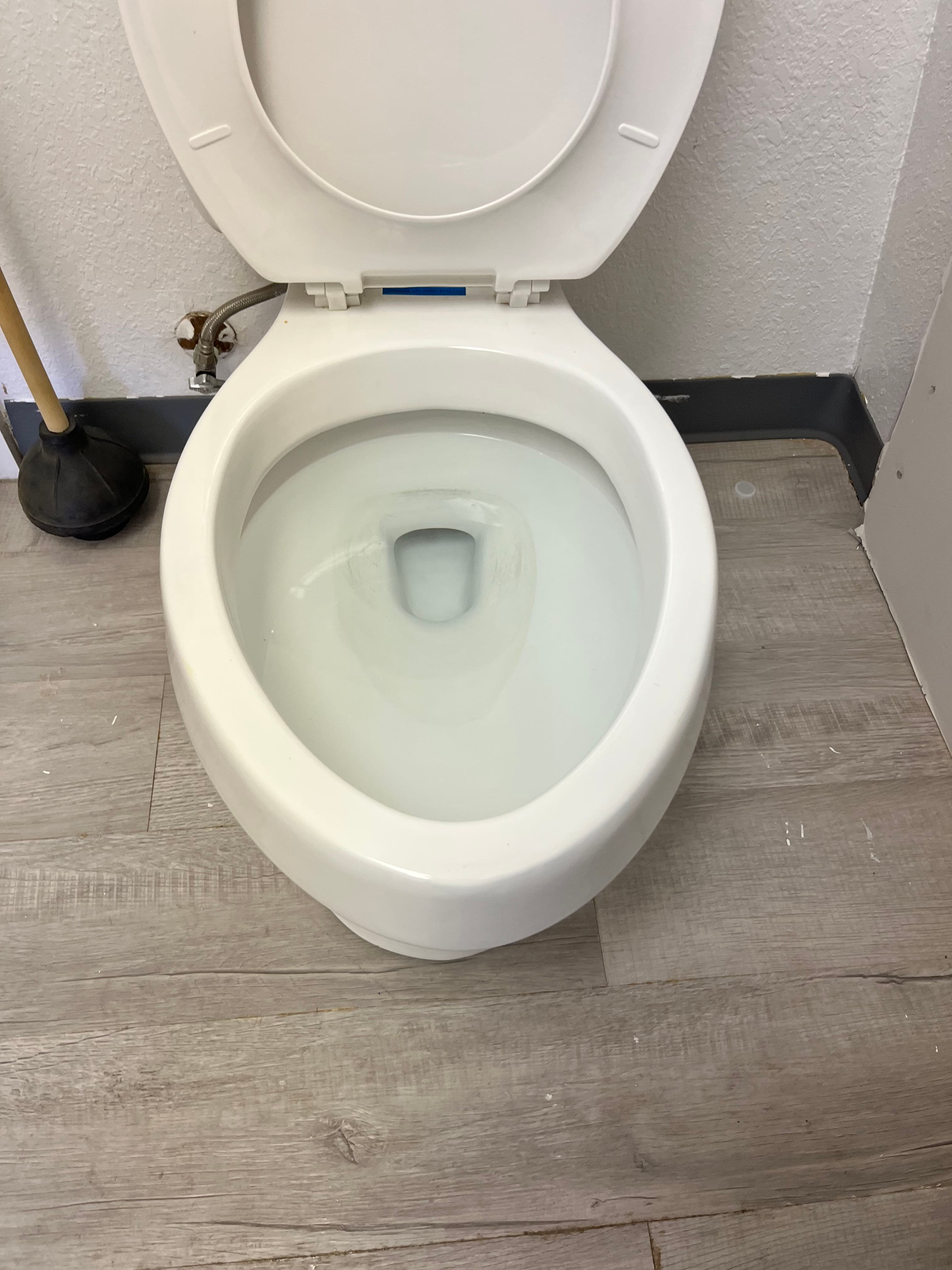 Project Blocked Toilet Cleared and Back to Full Flow image