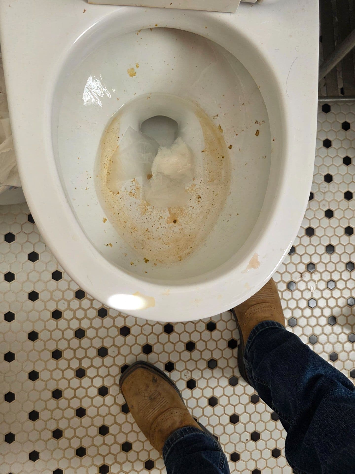 Project Clogged Toilet Drain Line Cleared in Tech Terrace image