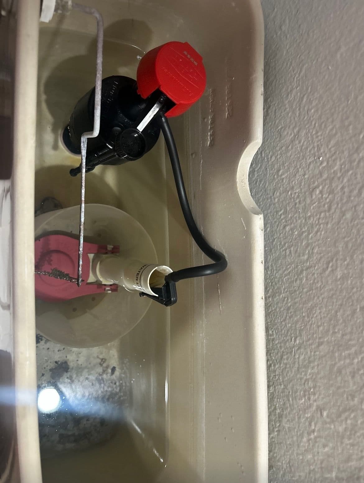 Gallery photos for Toilet Fill Valve and Flapper Replacement in Westchester Park: Image #1