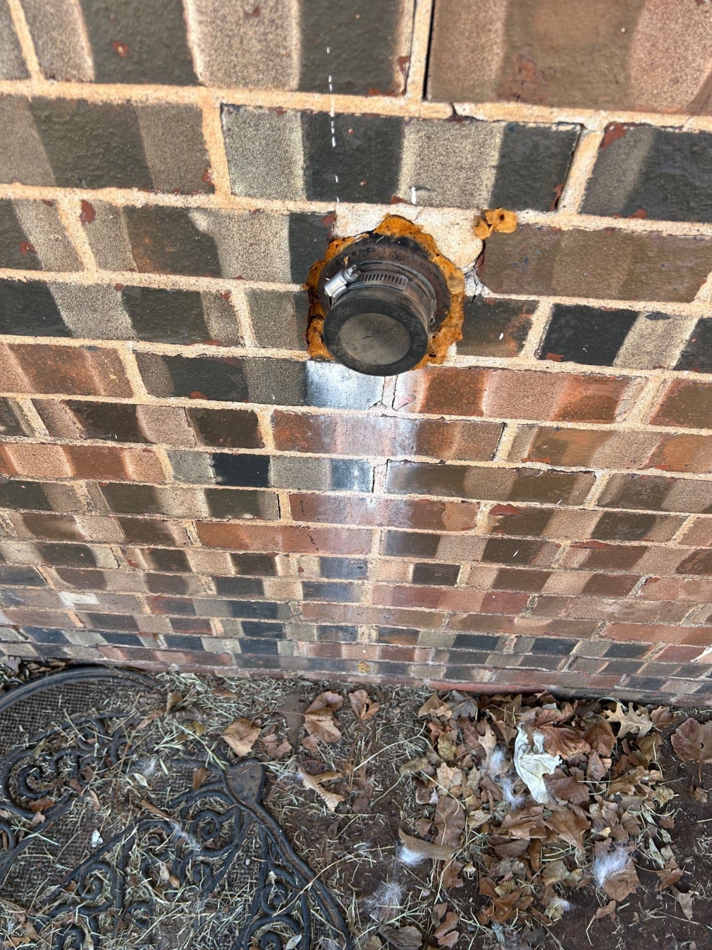Stubborn Kitchen Drain Clog Cleared in West Campus image