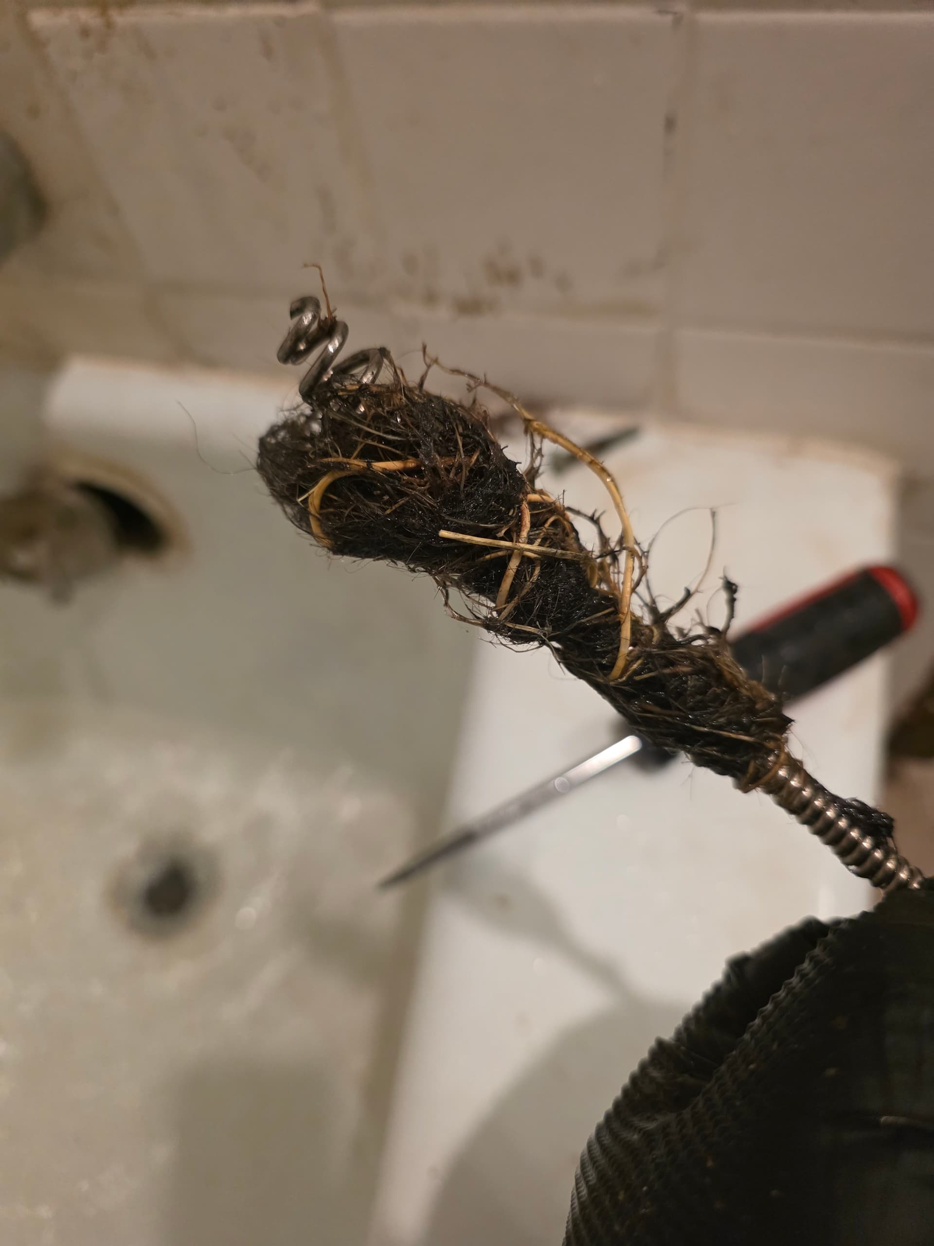 Gallery photos for What's Really Behind a Slow Tub Drain: Image #1